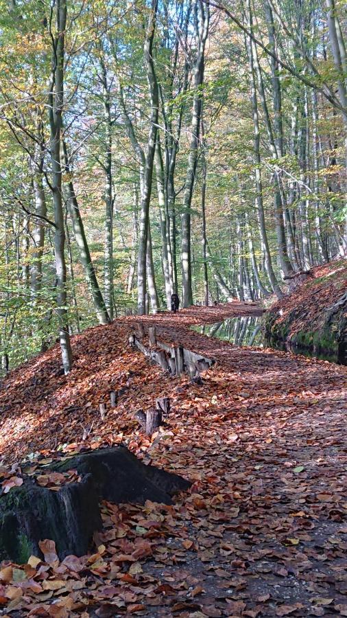Bed and Breakfast De Sprokkel Milsbeek Zewnętrze zdjęcie