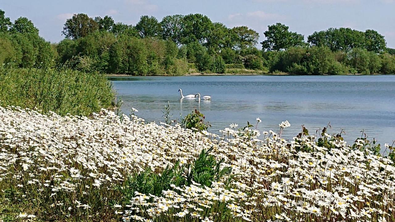 Bed and Breakfast De Sprokkel Milsbeek Zewnętrze zdjęcie